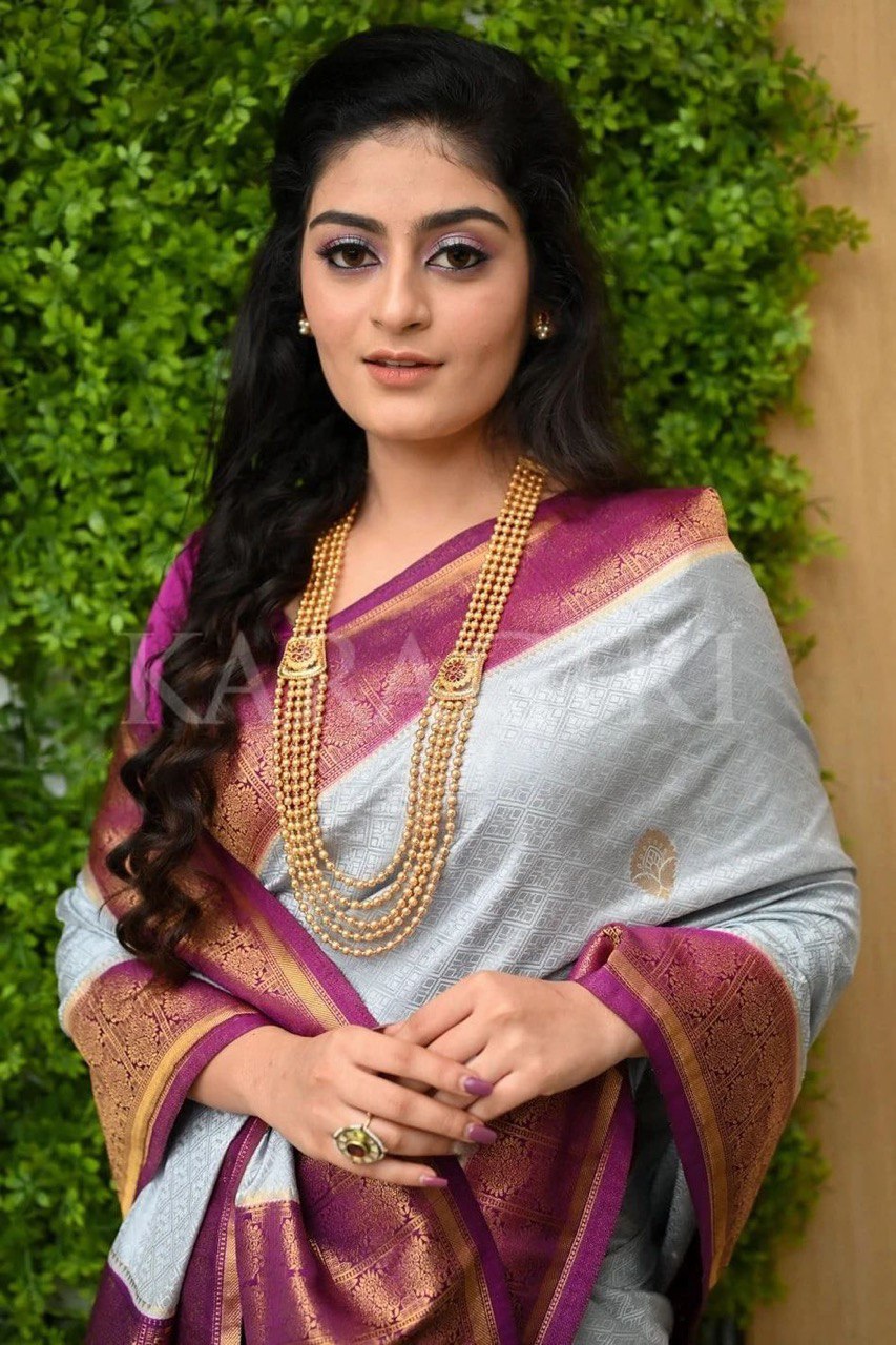 Grey Slab Weaving Soft Royal Saree