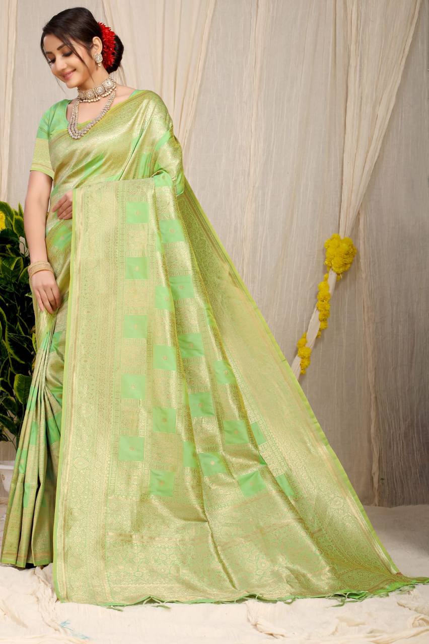 Seafoam Kanchipuram Pure silk saree with Jari weaving work